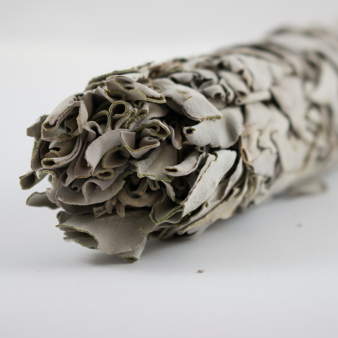 Sage Smudging Stick