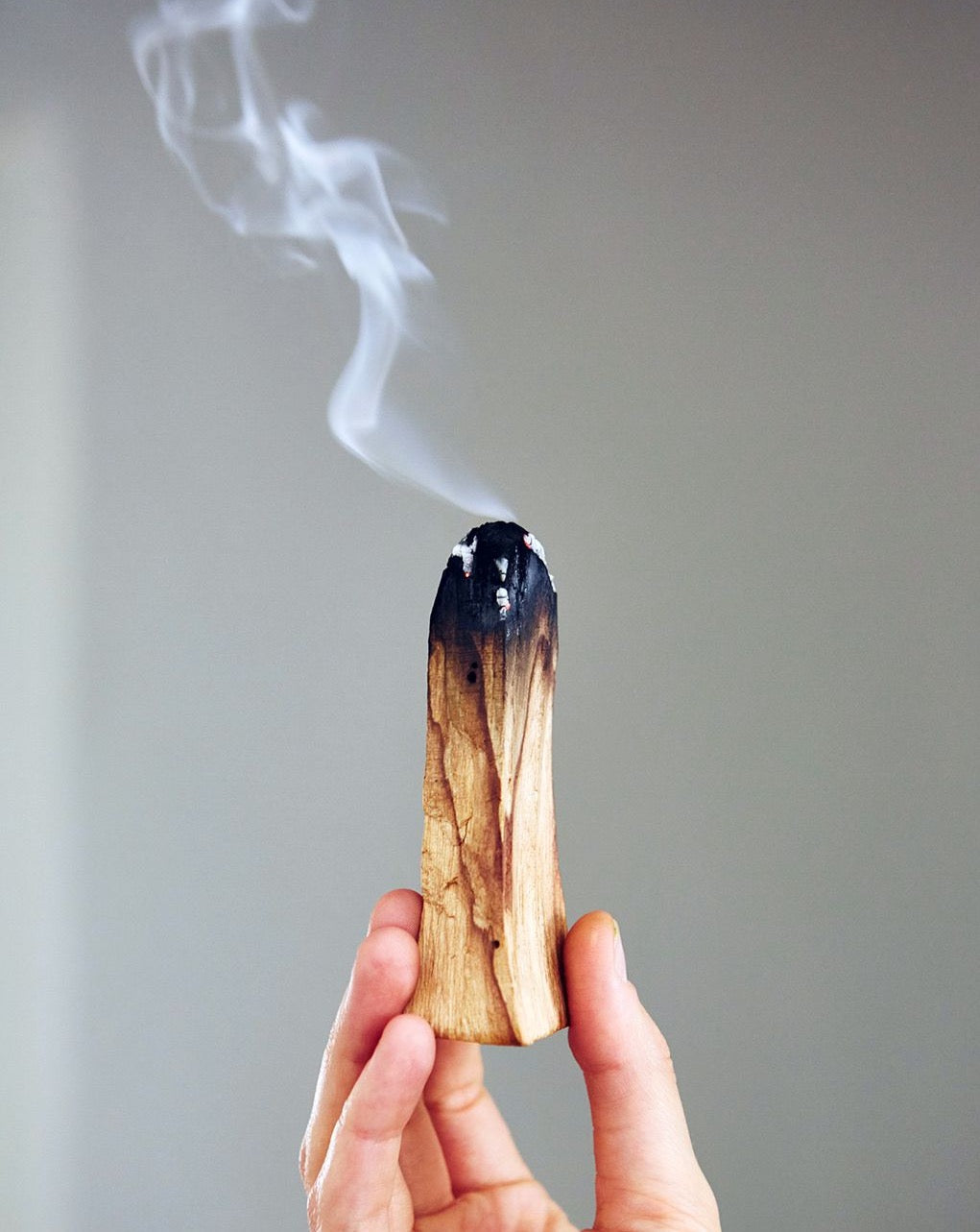 Palo Santo - Set of 3